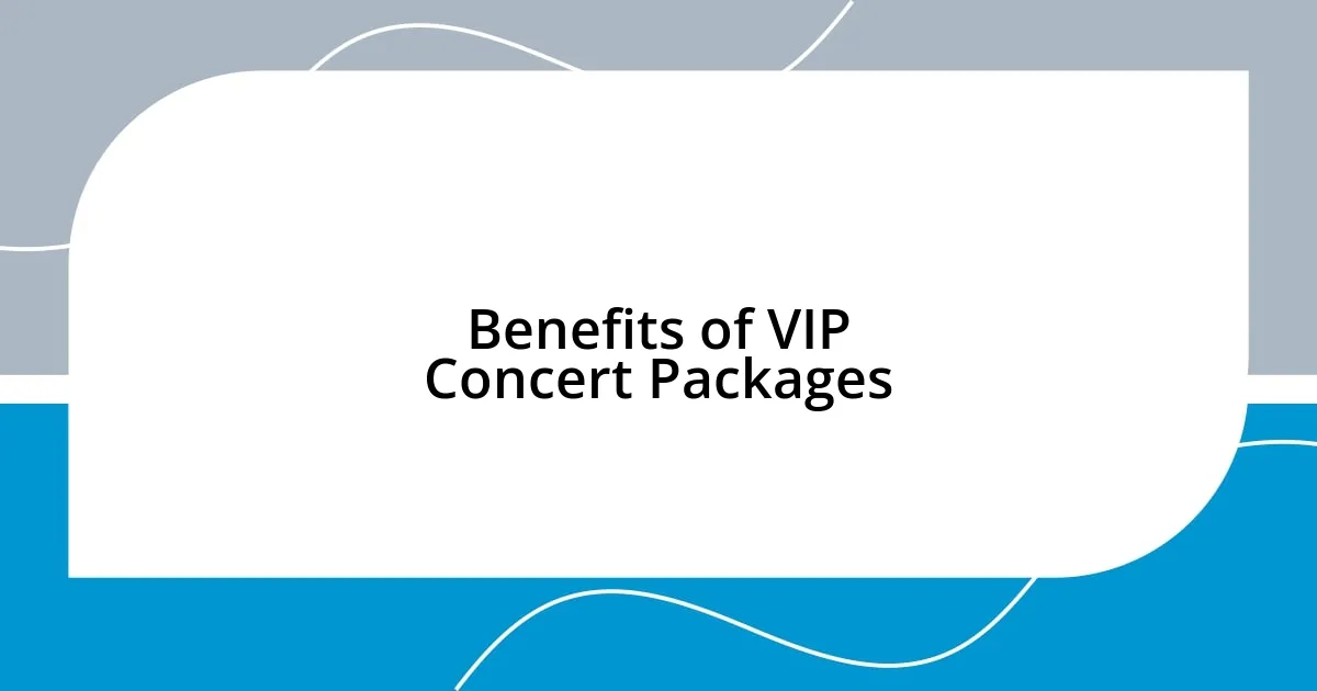 Benefits of VIP Concert Packages